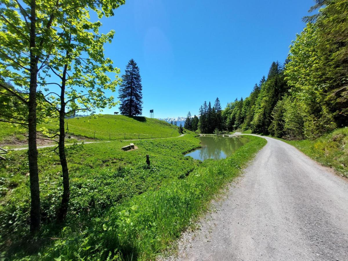 Die Bludenzerin Exteriör bild